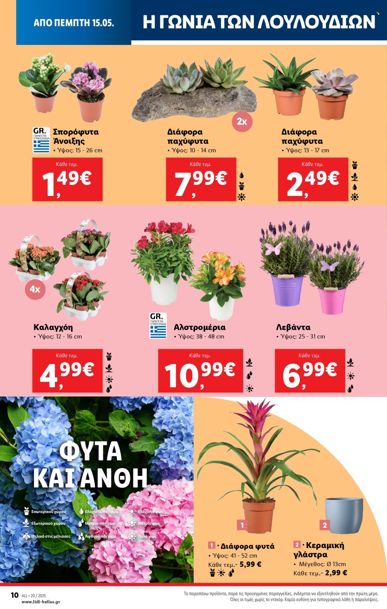 Φυλλάδια Lidl - 15.05.2025 - 21.05.2025. Σελίδα 1